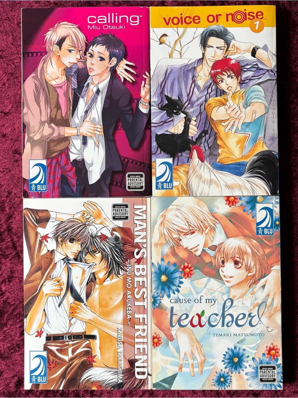 BL manga bundle